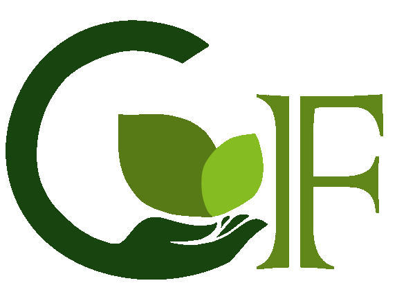 ClearFinn logo